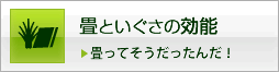 畳といぐさの効能