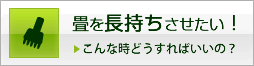 畳を長持ちさせたい！