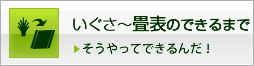 いぐさ～畳のできるまで